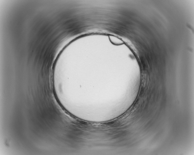 X0000097961295200804211053