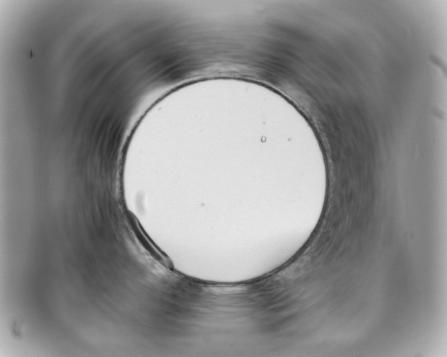 X0000097961296200804211053