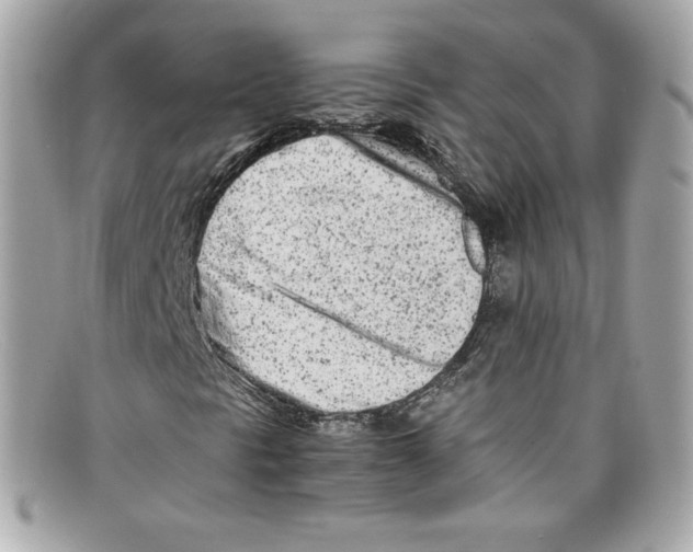 X0000097961297200804211052