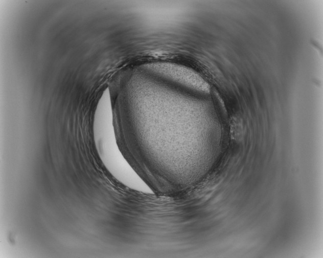X0000097961298200804211052