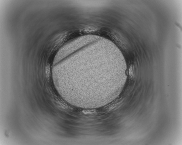 X0000097961299200804211052