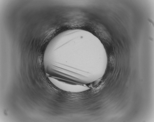 X0000097961300200804211052
