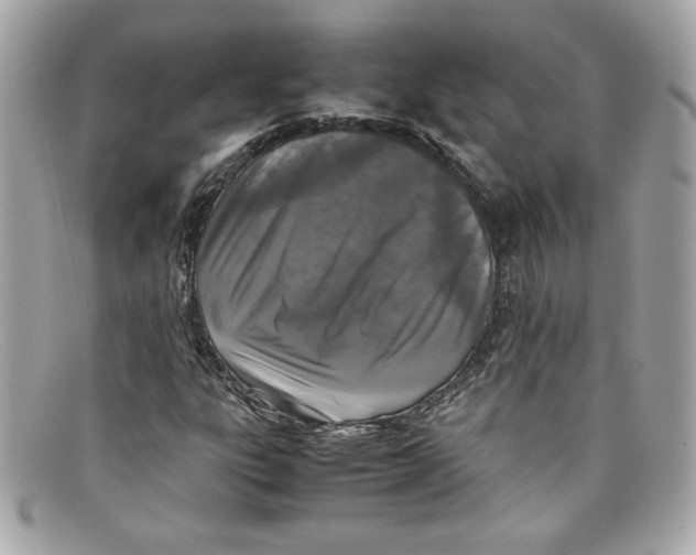 X0000097961303200804211052
