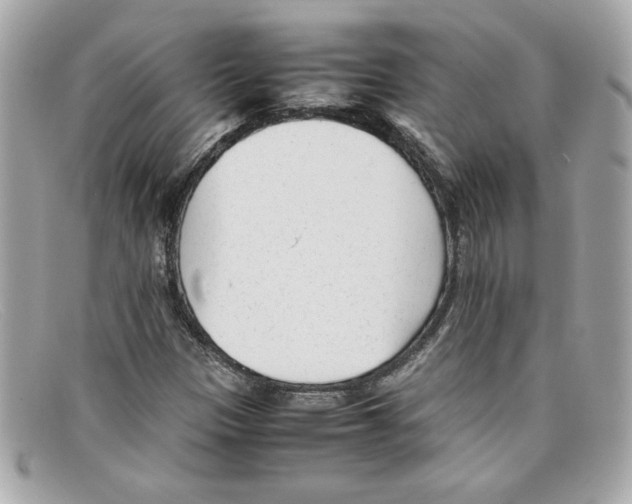 X0000097961305200804211052