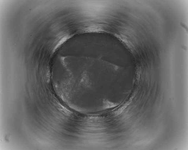 X0000097961306200804211052