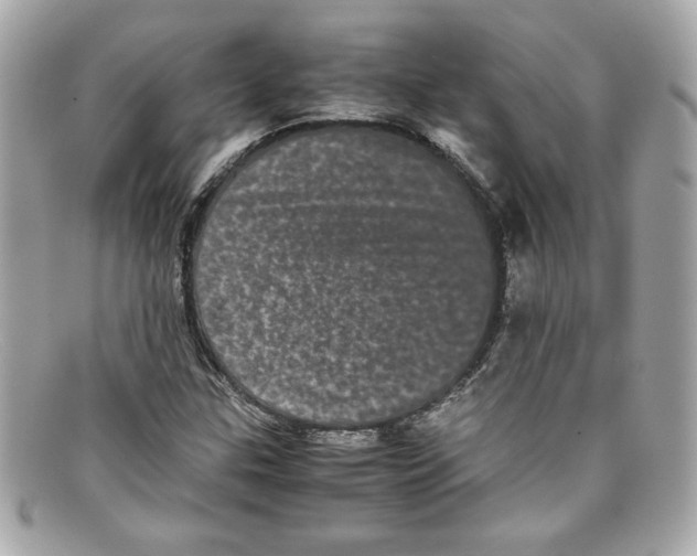X0000097961307200804211052
