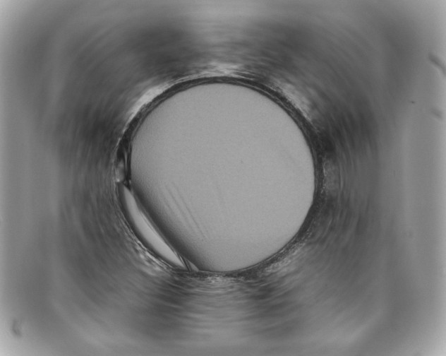 X0000097961308200804211052