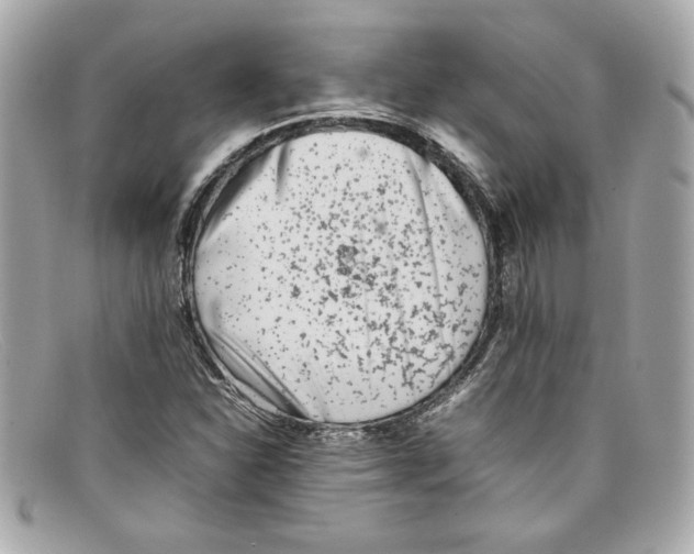 X0000097961310200804211052