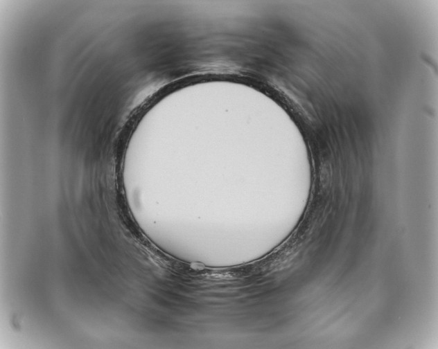 X0000097961315200804211052