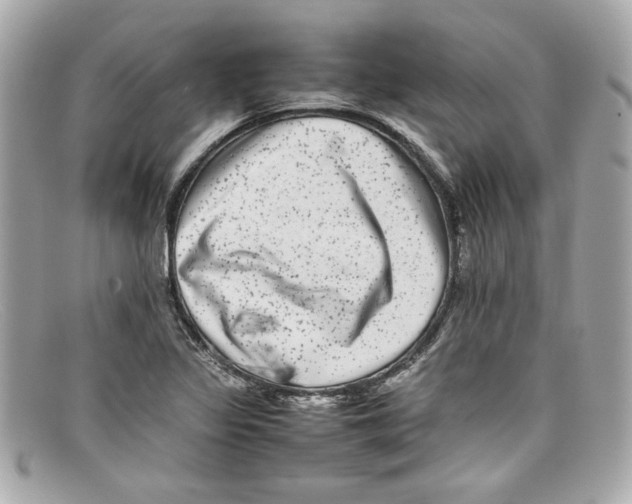 X0000097961317200804211052
