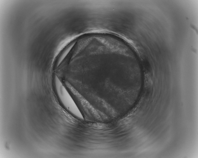X0000097961319200804211052
