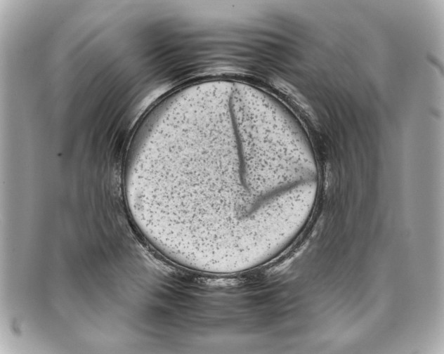X0000097961321200804211052