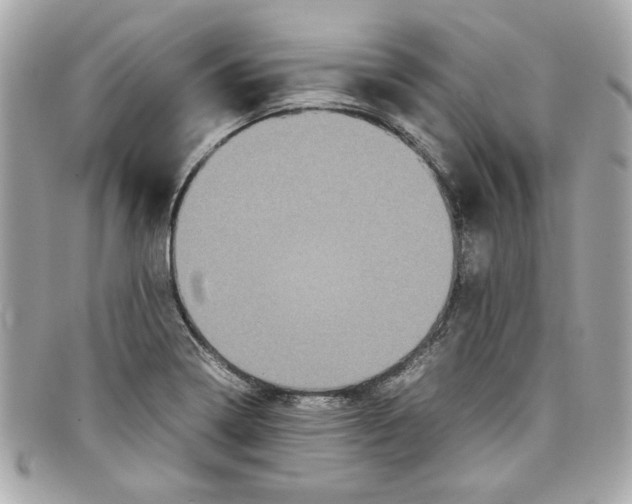 X0000097961322200804211052