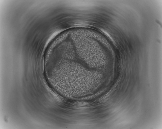 X0000097961323200804211052