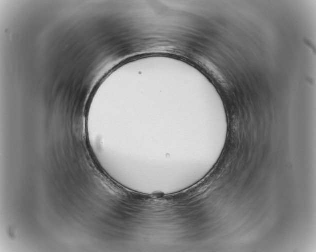 X0000097961324200804211052