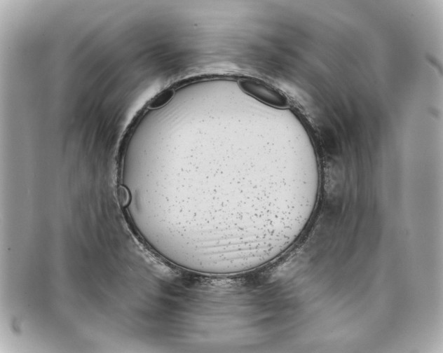 X0000097961326200804211052