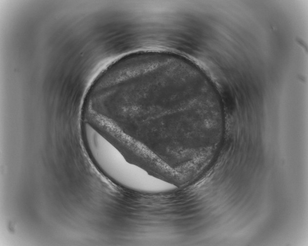 X0000097961327200804211052