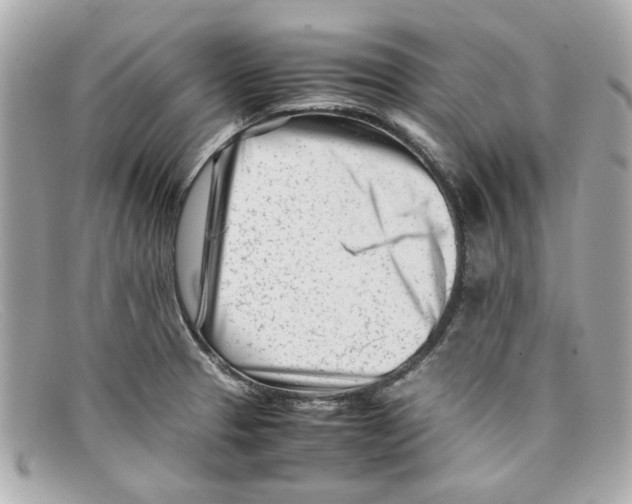 X0000097961329200804211052