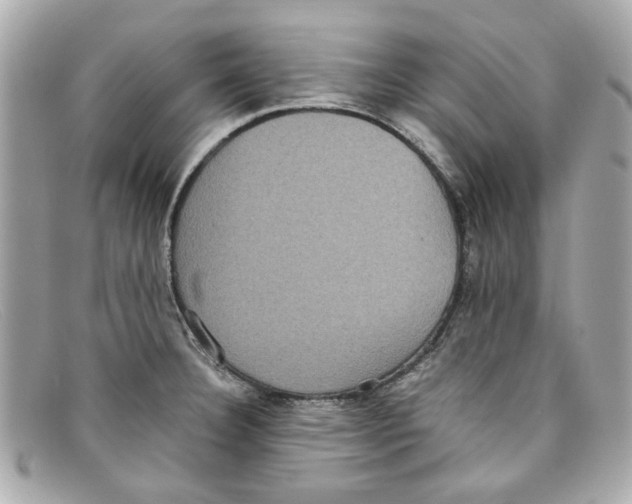X0000097961332200804211052