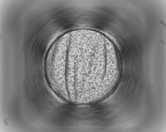 X0000097961333200804211052