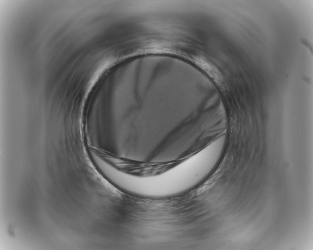 X0000097961334200804211052