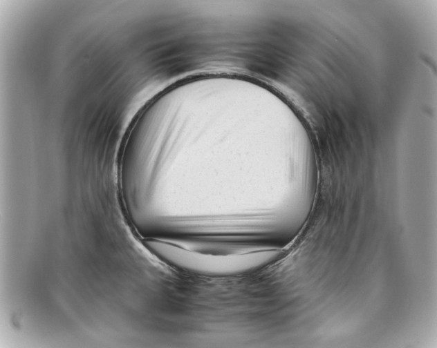 X0000097961335200804211052