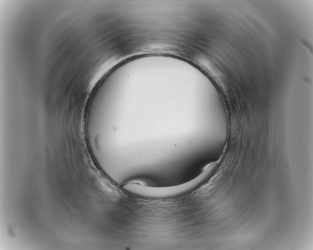 X0000097961336200804211052