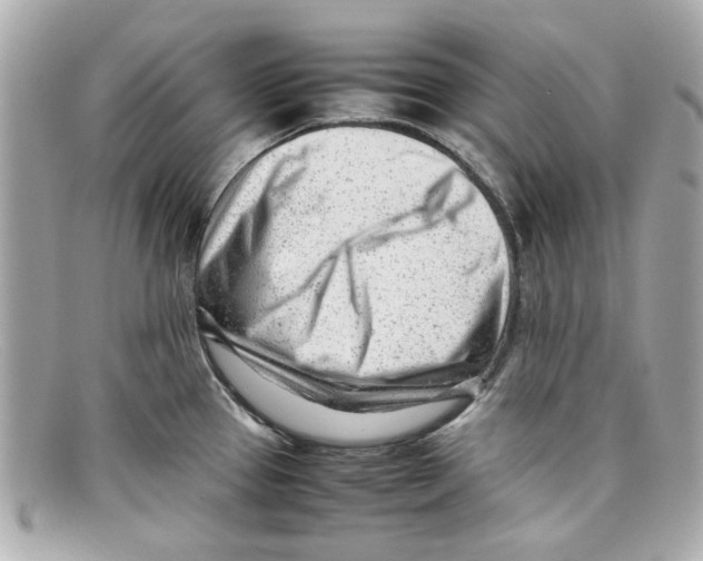 X0000097961337200804211053