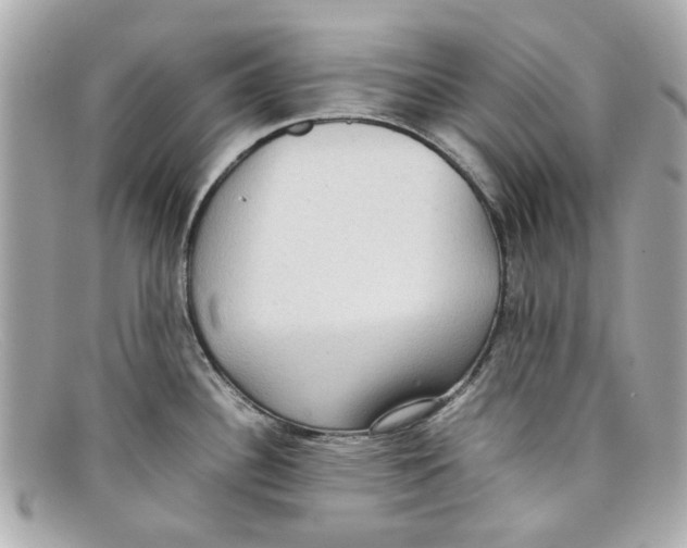 X0000097961340200804211053