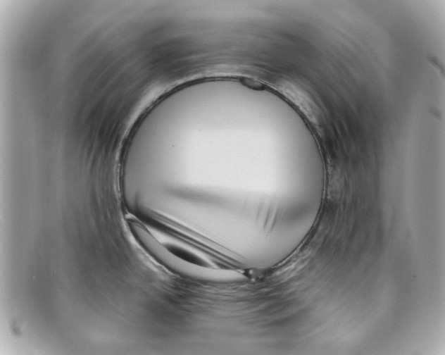X0000097961342200804211053