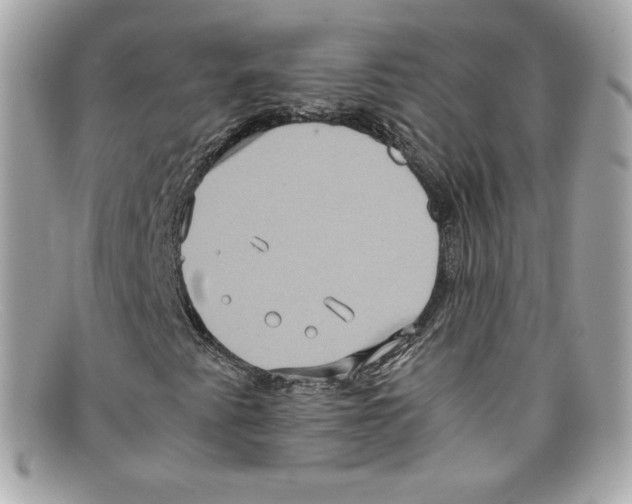X0000097961345200804211052