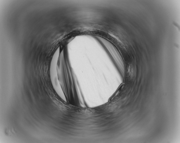 X0000097961348200804211052