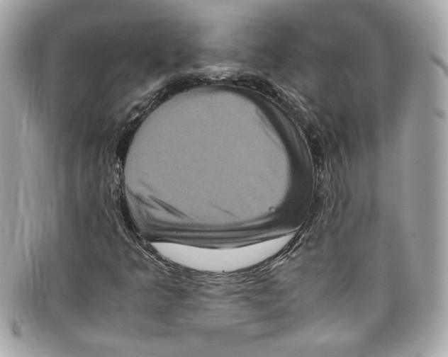 X0000097961349200804211052