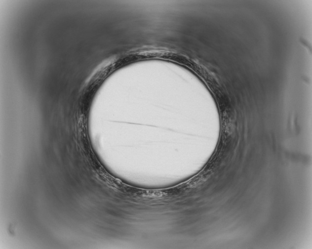 X0000097961351200804211052