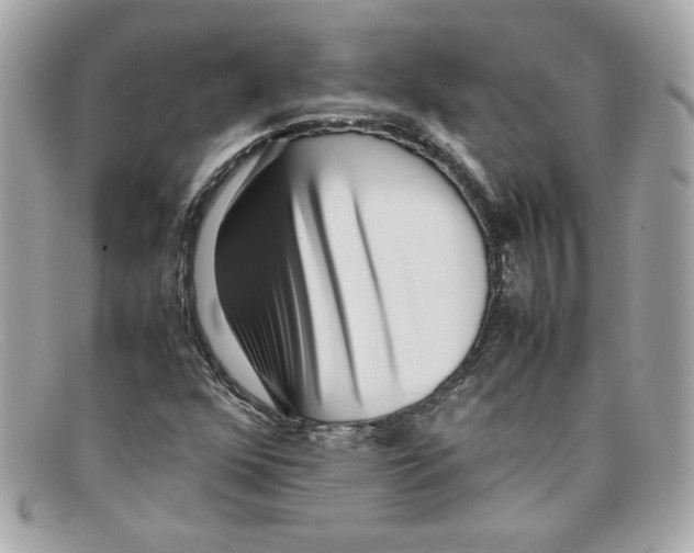 X0000097961352200804211052