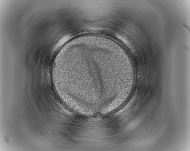 X0000097961354200804211051