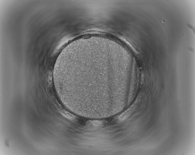 X0000097961355200804211051