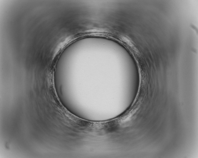 X0000097961357200804211051