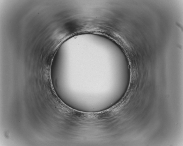 X0000097961361200804211051
