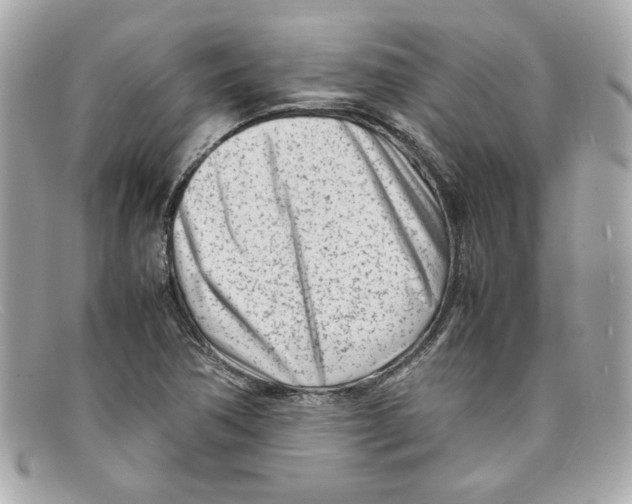 X0000097961362200804211051