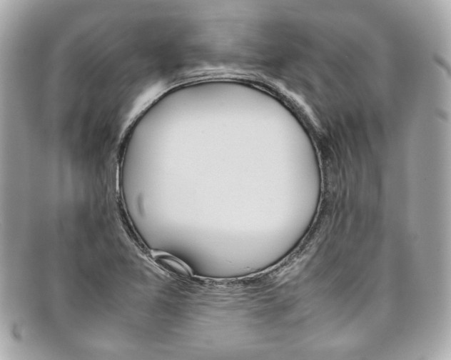 X0000097961365200804211051