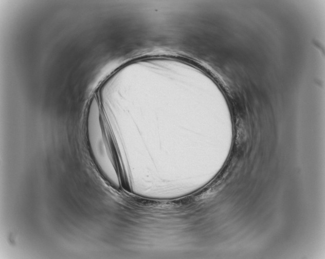 X0000097961367200804211051