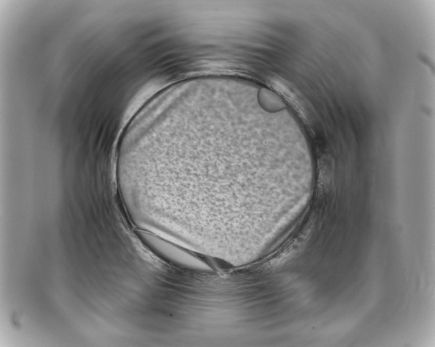 X0000097961370200804211051