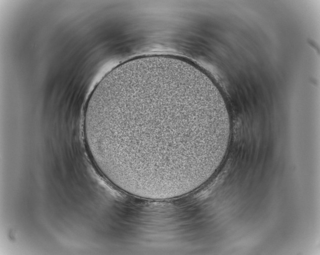 X0000097961374200804211051