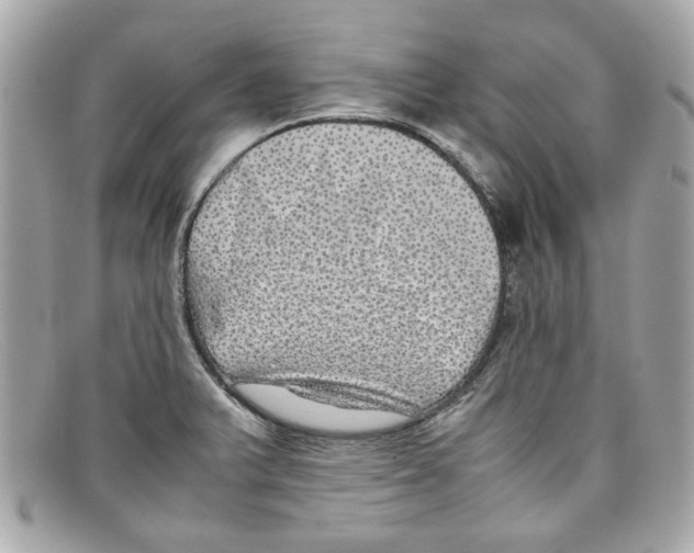 X0000097961375200804211051