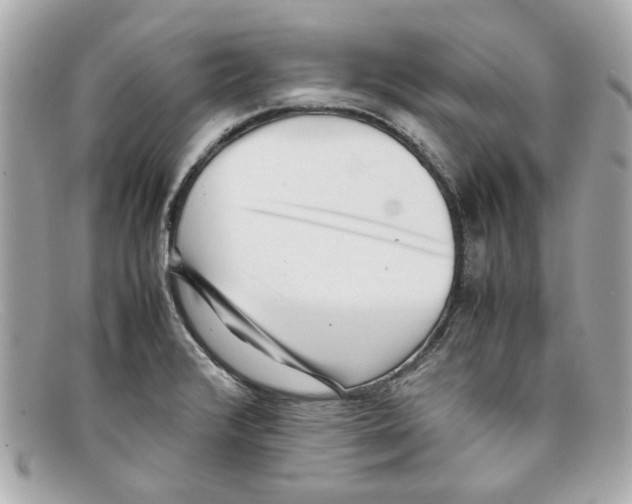 X0000097961376200804211051