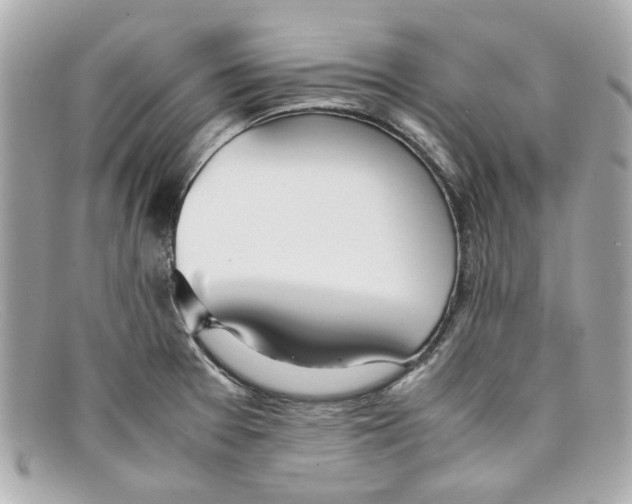 X0000097961377200804211051