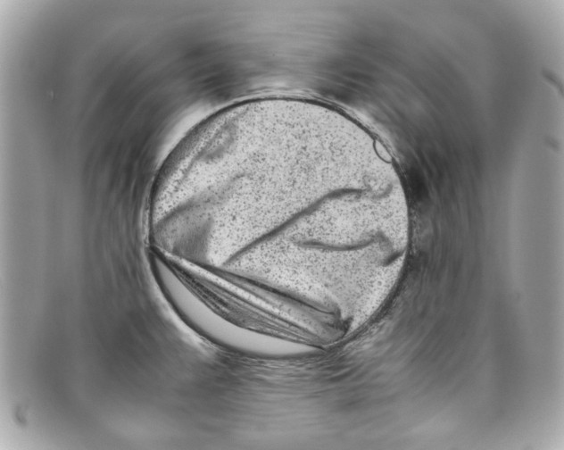 X0000097961383200804211051