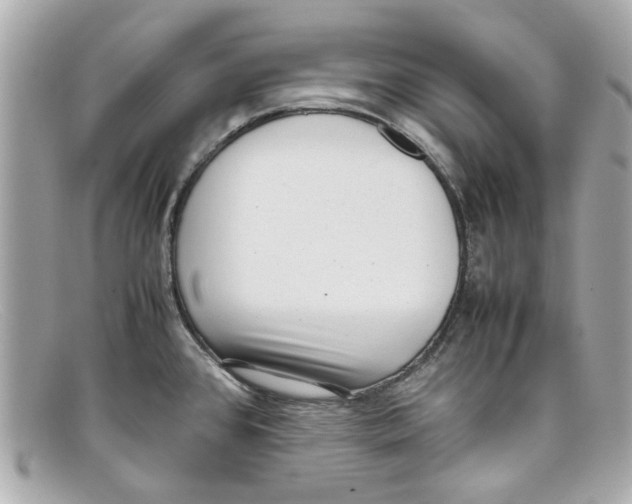 X0000097961384200804211051
