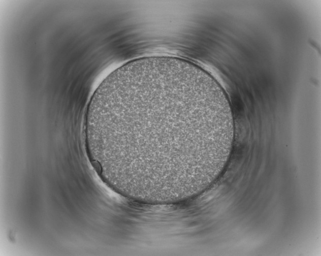 X0000097961387200804211051